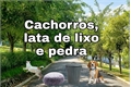 História: CaTCHoRossss