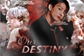 História: Our Destiny ( Taekook - Vkook ) ABO