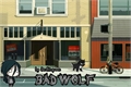 História: Bad Wolf