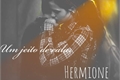 História: Um jeito de calar Hermione