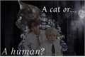 História: A cat or...a human? (SOPE)