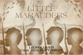 História: Little Marauders