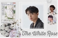 História: The White Rose