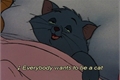 História: Todo mundo quer ser um gatinho ; minbin.
