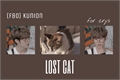 História: Lost cat