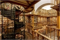 História: O segredo da biblioteca