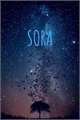 História: Sora (hiato)