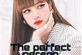 História: The perfect person (Lismin&#39;lilimin