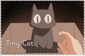 História: Tiny Cat
