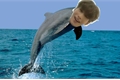 História: Amor de golfinho - Imagine Han Seungwoo (X1 Victon Produce X