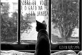 História: Sobre eu, voc&#234; e o gato na sua janela