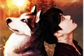 História: Imagine jungkook- minha lobinha e meu vampiro