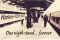 História: One night stand... forever