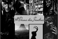 História: A Dama das Sombras (REESCRITA)