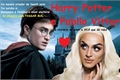 História: Harry Potter e Pabllo Vittar