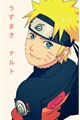 História: Naruto uzumaki o rei do harem