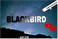 História: BLACKBIRD