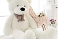 História: My Favorite Teddy Bear
