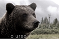História: O Urso