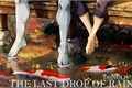 História: The Last Drop of Rain