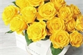 História: Buqu&#234; de rosas amarelas.
