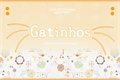 História: Gatinhos