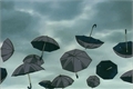 História: L&#225; fora chove guarda-chuvas