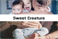 História: Sweet Creature - Larry Stylinson