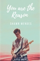 História: You Are The Reason (Shawn Mendes)