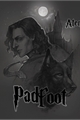 História: Padfoot