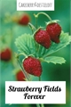 História: Strawberry fields forever - destiel abo