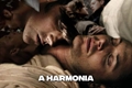 História: Wincest - A Harmonia