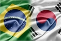 História: A brasileira sul-coreana