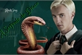 História: A serpente do Draco - Dramione