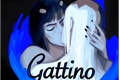 História: Gattino