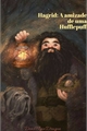 História: Hagrid: A amizade de uma Hufflepuff