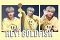 História: Hey! Goldfish - Changlix