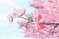 História: Spring; renmin