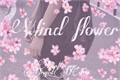 História: Wind flower - Jikook Abo