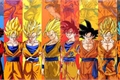 História: Dragon Ball: O Verso de Um Sayajin