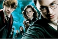 História: Lendo Harry Potter - Hogwarts de 1995