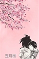 História: May Cherry Tree - MomoJirou