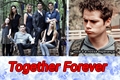 História: Together Forever - Stlol