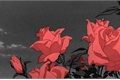 História: Blood Flowers - Sycaro