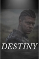 História: DESTINY . Ivar The Boneless