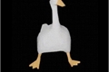História: Genilson, o pato que queria ser galinha