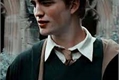 História: Meu amor- Cedrico Diggory