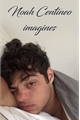 História: Noah centineo imagines