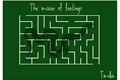 História: The Maze of Feelings