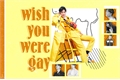 História: Wish you were gay.